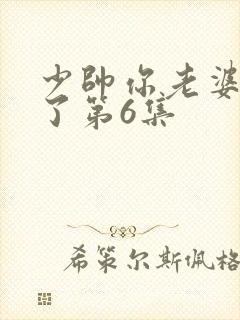 少帅你老婆又跑了第6集