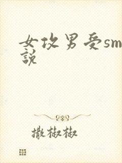 女攻男受sm小说封面