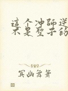 这个冲师逆徒才不是圣子的小说