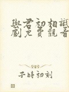 与君初相识电视剧免费观看全集封面