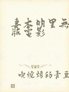 妻木明里无删减版电影封面