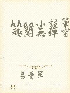 hhaa小说笔趣阁无弹窗最新章节