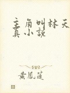 主角叫林天的修真小说