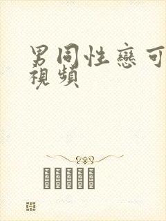 男同性恋可播放视频
