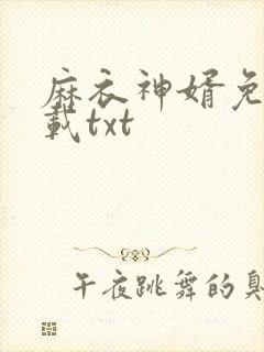 麻衣神婿免费下载txt封面