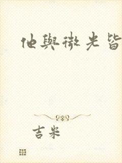 他与微光皆倾城封面