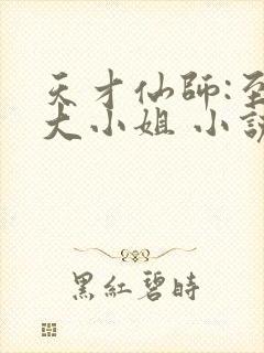 天才仙师:至尊大小姐 小说封面