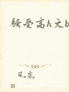 骚受高h文bl