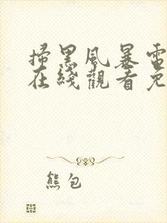 扫黑风暴电视剧在线观看免费完整版2021