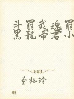 斗罗武魂罗三炮黑龙帝君小说封面