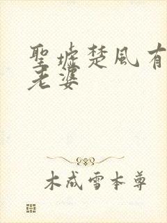 圣墟楚风有几个老婆