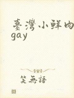 台湾小鲜肉裸体gay封面