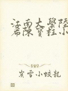江南大学陆黄若希陈宝柱小说封面