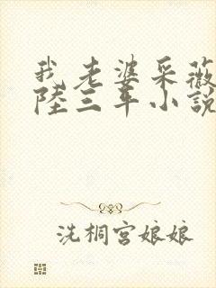 我老婆采薇养父陆三平小说txt