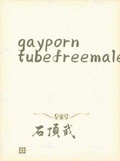 gayporntubefreemalesexvideo