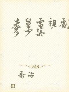 老舅电视剧一共多少集