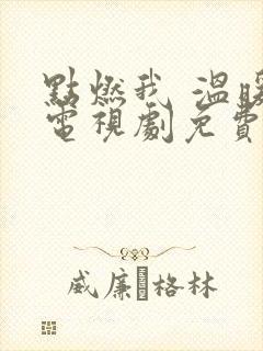 点燃我 温暖你电视剧免费观看