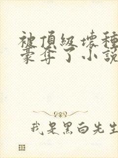 被顶级坏种强取豪夺了小说