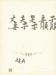 丈夫是妻子的头,妻子要顺服丈夫