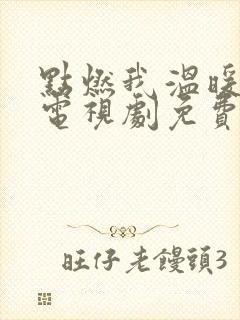 点燃我温暖你你电视剧免费观看