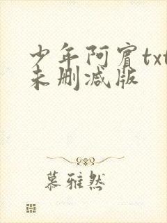 少年阿宾txt未删减版