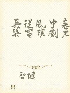 兵从风中来40集电视剧免费观看