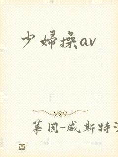 少妇操av