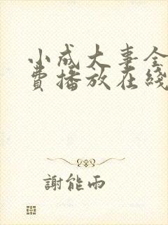 小成大事全集免费播放在线观看