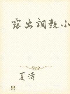 露出调教小说h封面