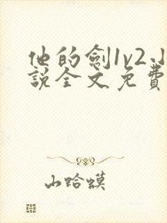 他的剑1v2小说全文免费阅读