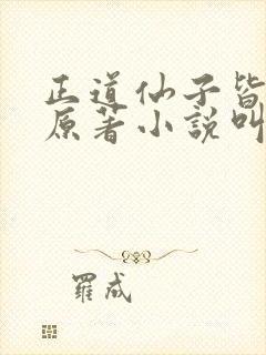 正道仙子皆为奴原著小说叫什么名字