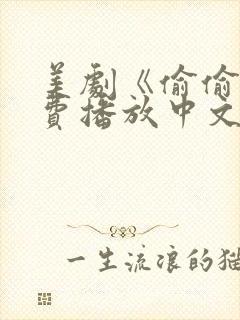 美剧《偷偷》免费播放中文在线观看