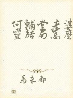 何辅堂老婆朱彩灵结局怎么样封面