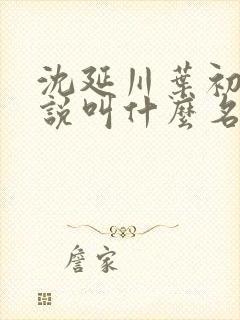 沈延川叶初裳小说叫什么名字