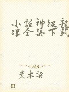 小说神级龙卫沈浪全集下载