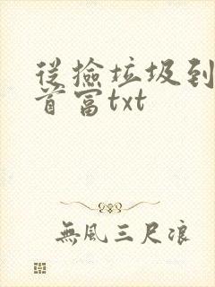 从捡垃圾到星际首富txt