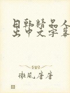 日韩精品人妻中出中文字幕