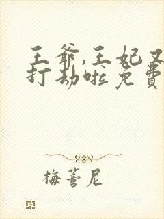 王爷,王妃又去打劫啦免费阅读