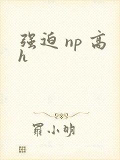 强迫 np 高h