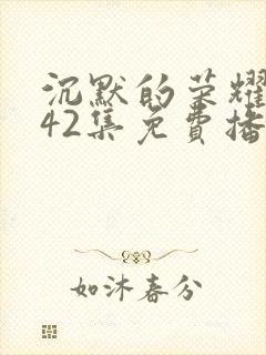 沉默的荣耀1—42集免费播放
