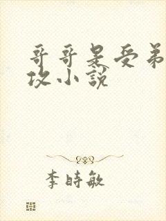 哥哥是受弟弟是攻小说