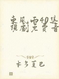 东风雨40集电视剧免费看封面