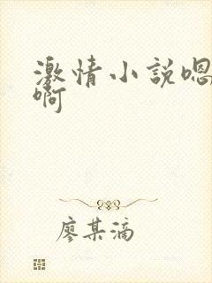 激情小说嗯嗯啊啊