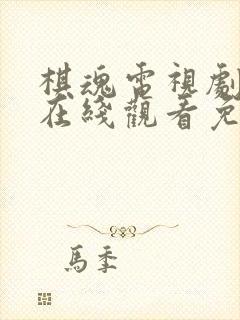 棋魂电视剧全集在线观看免费播放