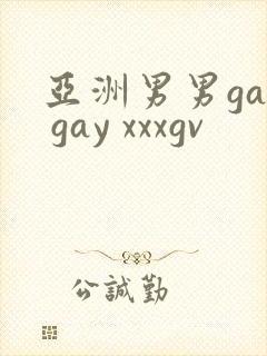 亚洲男男gay gay xxxgv