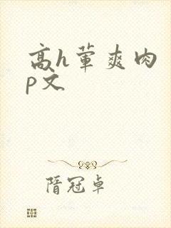 高h荤爽肉〈np文