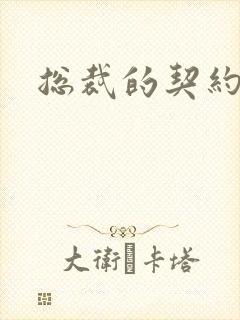 总裁的契约妻