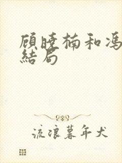 顾晓楠和冯先生结局