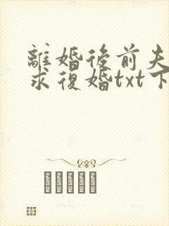 离婚后前夫哭着求复婚txt下载完本