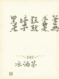 黑暗狂袭笔趣阁老子就是无敌
